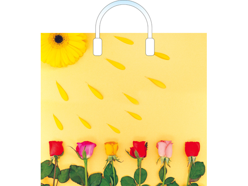 Пакет ПЭ с пластмассовыми ручками 38х34+3 (90) х150 (Красочный) Россия ПЛР51616