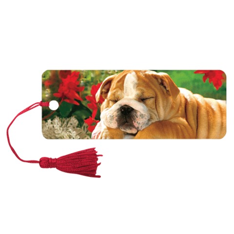 Закладка д/книг с линейкой 3D BRAUBERG, объемная, "Щенок", декор. шнурок-завязка, 125778