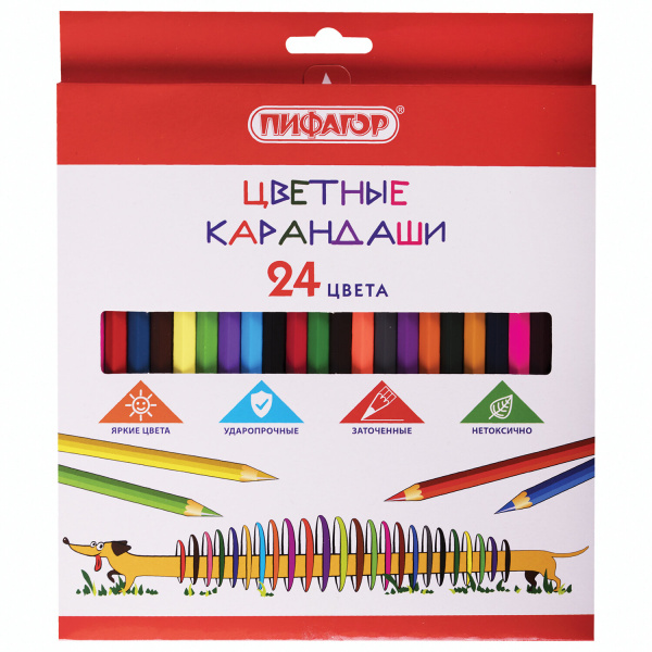 Карандаши цветные ПИФАГОР "Веселая такса", 24 цвета, классические, заточенные, 181808 