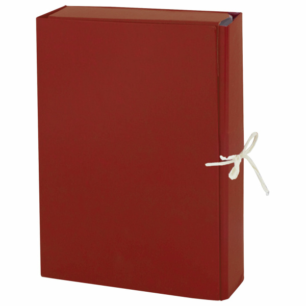 Папка архивная с завязками  85мм, бумвинил, 2 завязки до 700л.