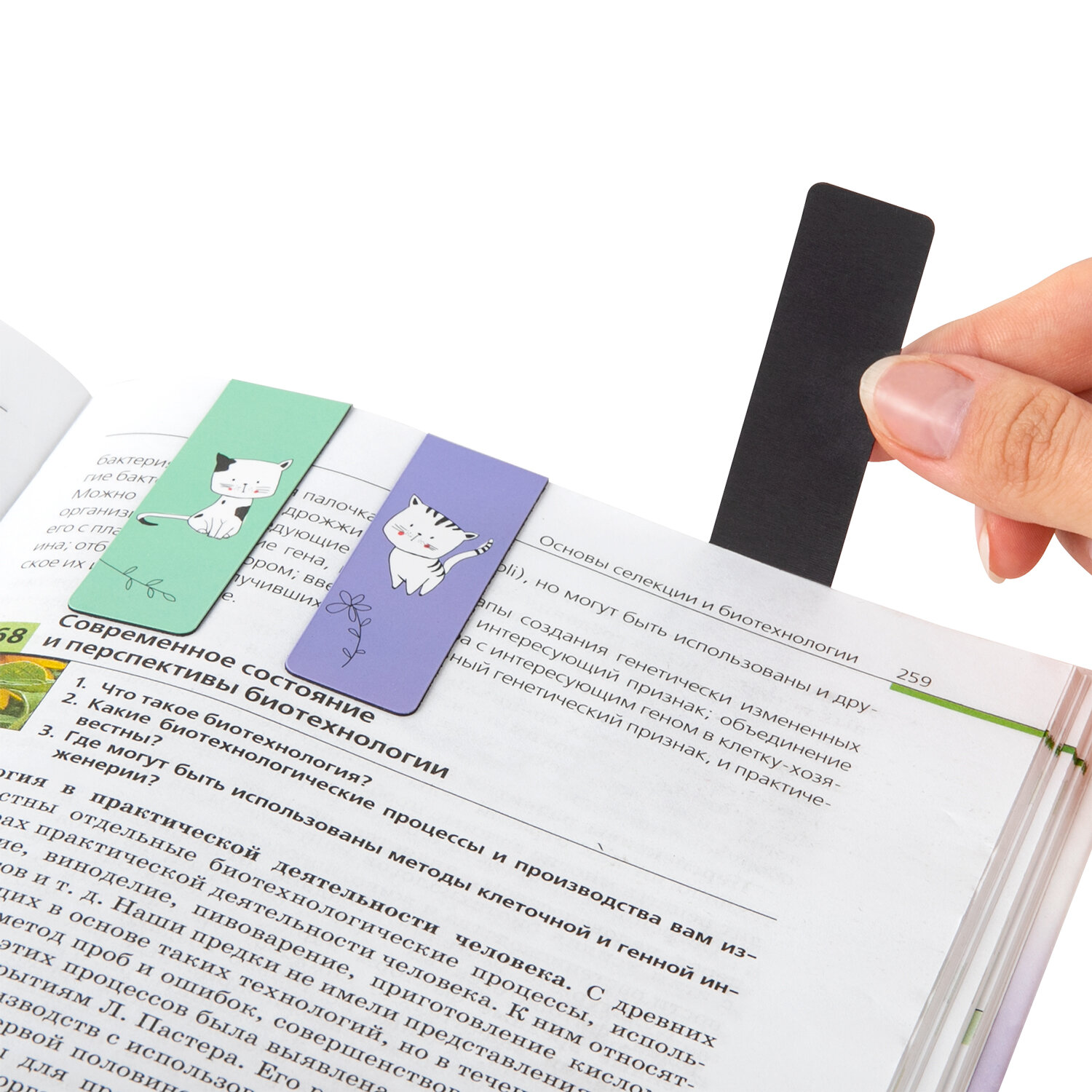 Закладки для книг МАГНИТНЫЕ BRAUBERG "CATS", набор 6 шт., 60x20 мм