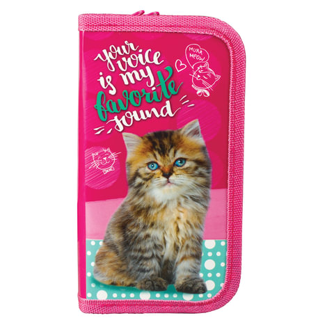 Пенал 2 отделения, для начальной школы, девочка, Котенок, 19*10 см, ПН-0213