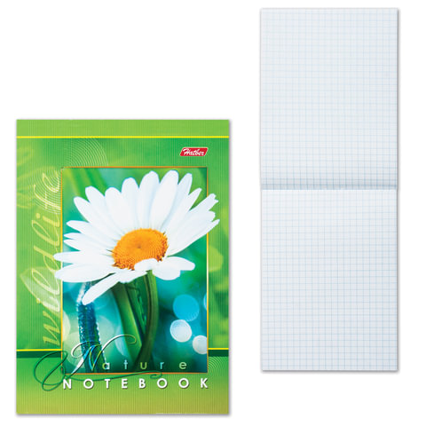 Блокнот А6, 124*144мм, 48л. "Хатбер", обл.мел.карт., Живые моменты, 48Б6B1(B136447)