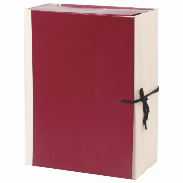 Папка архивная с завязками 120мм, бумвинил, корешок — коленкор, 4 х/б завязки