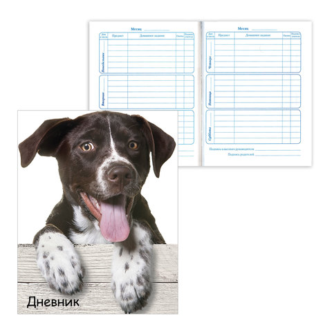 Дневник 1-4 класс, твердый, BRAUBERG, блестки, ЗАБАВНЫЙ ЩЕНОК, 104233