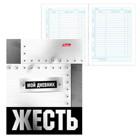 Дневник 1-11 кл., твердый, металлик, HATBER, Просто Жесть, 40ДТ5мтВ_16023(D232989)