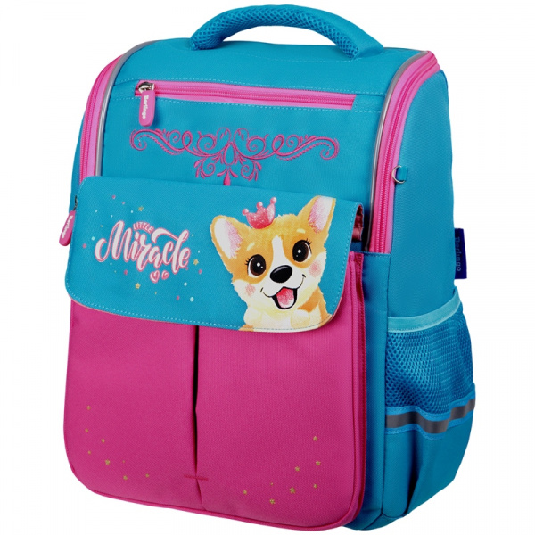 Ранец Berlingo облегченный Concept "Cute corgi" 35*27*16см, 1 отд, 4 карм, эргономич спинка RU06603