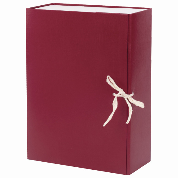 Короб архивный, бумвинил, 10 см, 2 х/б завязки, цвет ассорти