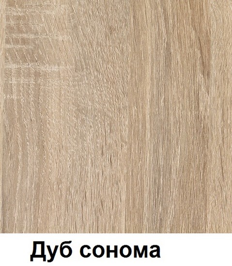 Шкаф для документов "Директор" широкий закрытый, 854х445х2030мм, дуб сонома, М330Д.1Ш