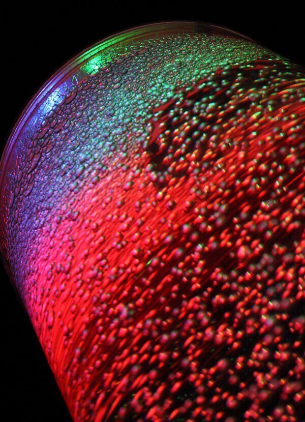 Колонна (трубка) воздушно-пузырьковая Ø10см. Премиум класса с пультом управления