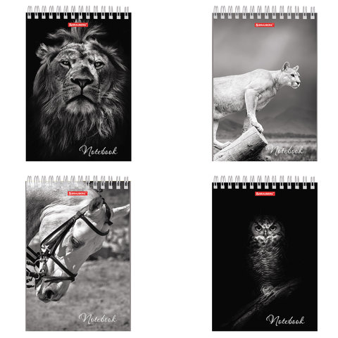 Блокнот А5 (146х205мм), 60л, гребень, картон, подложка, клетка, BRAUBERG, Животные, 129810