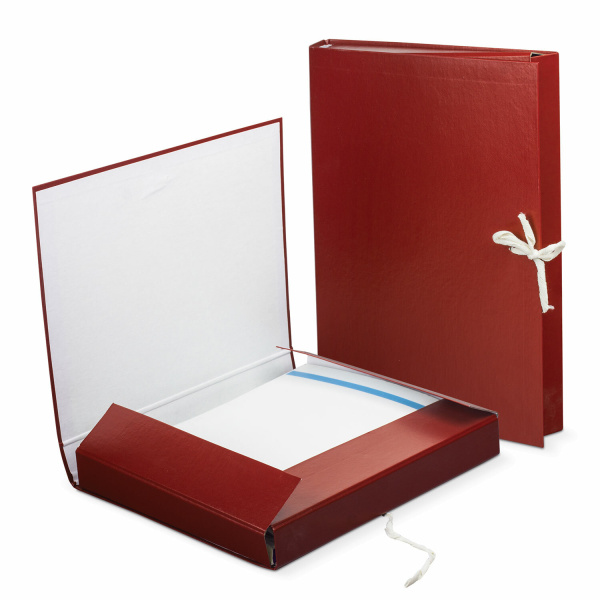 Папка архивная с завязками 30мм, бумвинил, 2 завязки, до 250л.