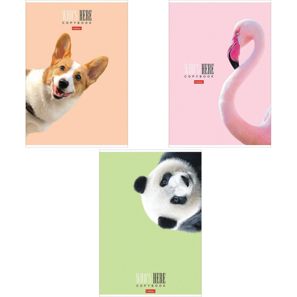 Тетрадь А4 96л. клетка HATBER, картонная обложка, "Кто здесь?" (4 вида), 96Т4лВ1
