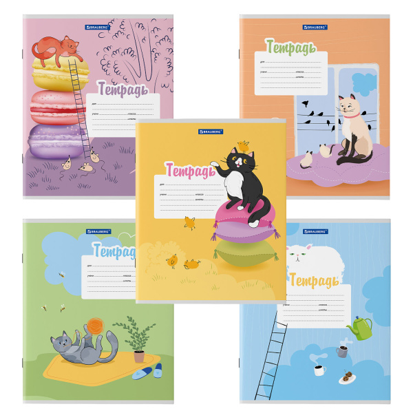 Тетрадь 12л. BRAUBERG линия, обложка картон, ОЗОРНЫЕ КОТЫ