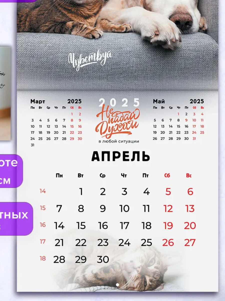 Календарь настенный перекидной на 2025 г., BRAUBERG, 12 листов, 29х29 см, "Не падай духом", 116163