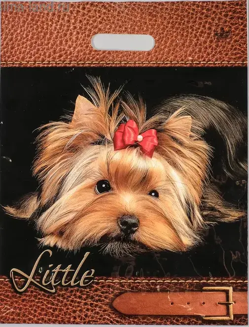 Пакет с вырубной ручкой ПВД, 40х31см, "Йорк", 60мкм, шк46171