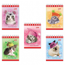 Блокнот А7 40л., гребень, тон. блок, HATBER, Котята в шапочках, 65*100мм, 40Б7Bгр (B092156)