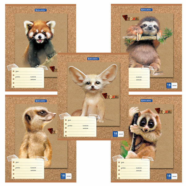 Тетрадь 18л. BRAUBERG линия, обложка картон, МИЛЫЕ ЗВЕРУШКИ