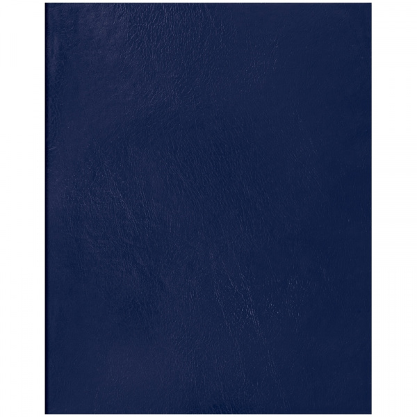 Тетрадь бумвинил 48л. клетка OfficeSpace, синий Т5бв48к_16411