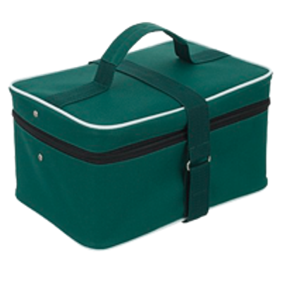 Термоконтейнер ТМ-1 полезный объем 0,8 л. в комплекте с хладоэлементами