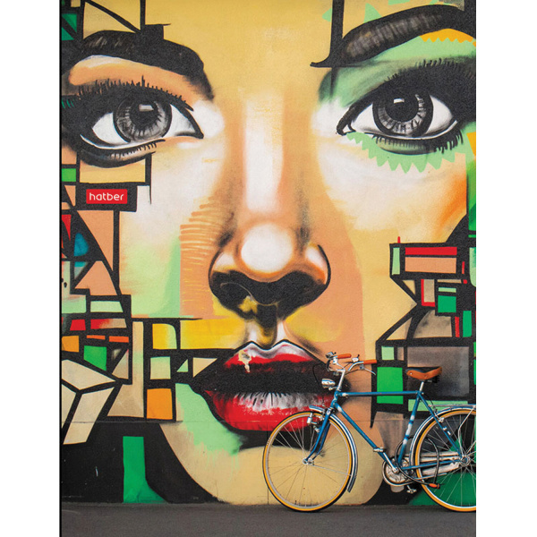 Тетрадь на кольцах А5 (175х220мм) 160л. HATBER "Street ART", картонная обложка, клетка, 22821