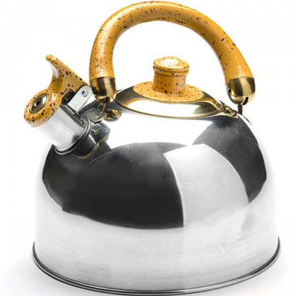 Чайник нержавеющая сталь 5,5 л