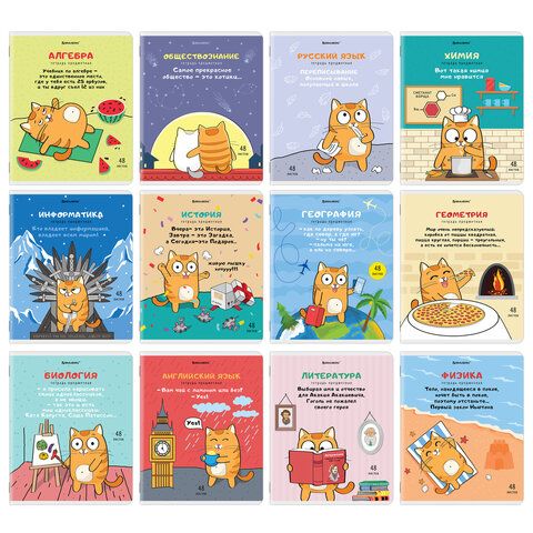 Тетради предметные, КОМПЛЕКТ 12 ПРЕДМЕТОВ, 48 л., TWIN-лак, BRAUBERG "КОТ-ЭНТУЗИАСТ"