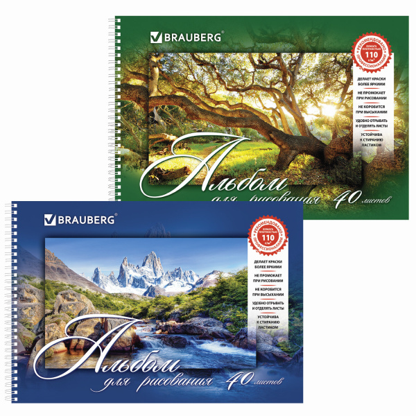 Альбом для рисования 40л. BRAUBERG обл.мел.карт,  гребень, 110г/м2 "Удивительная природа" 