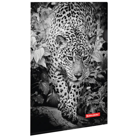 Папка-уголок BRAUBERG "Леопард", А4, 150 мкм, цветная печать, 228040