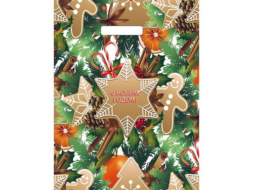 Пакет ПЭ с вырубной ручкой 31х40 (60) глянец НГ ассорти Россия