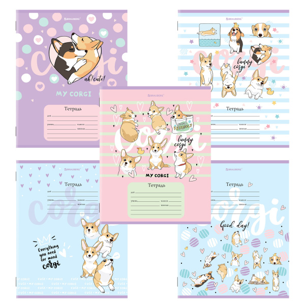 Тетрадь 12л. BRAUBERG клетка, обложка картон, КОРГИ