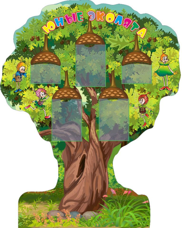 Стенд "Дуб" 1,6*1,3м, А4-3шт, А5-2шт.