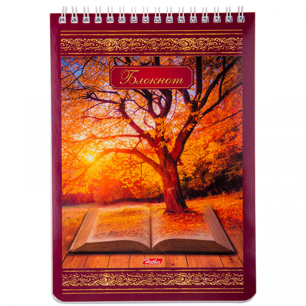 Блокнот А5 60л. на спирали Hatber "Книга странствий", жесткая подложка